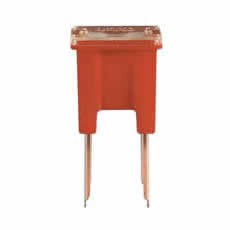 Pal Fuses